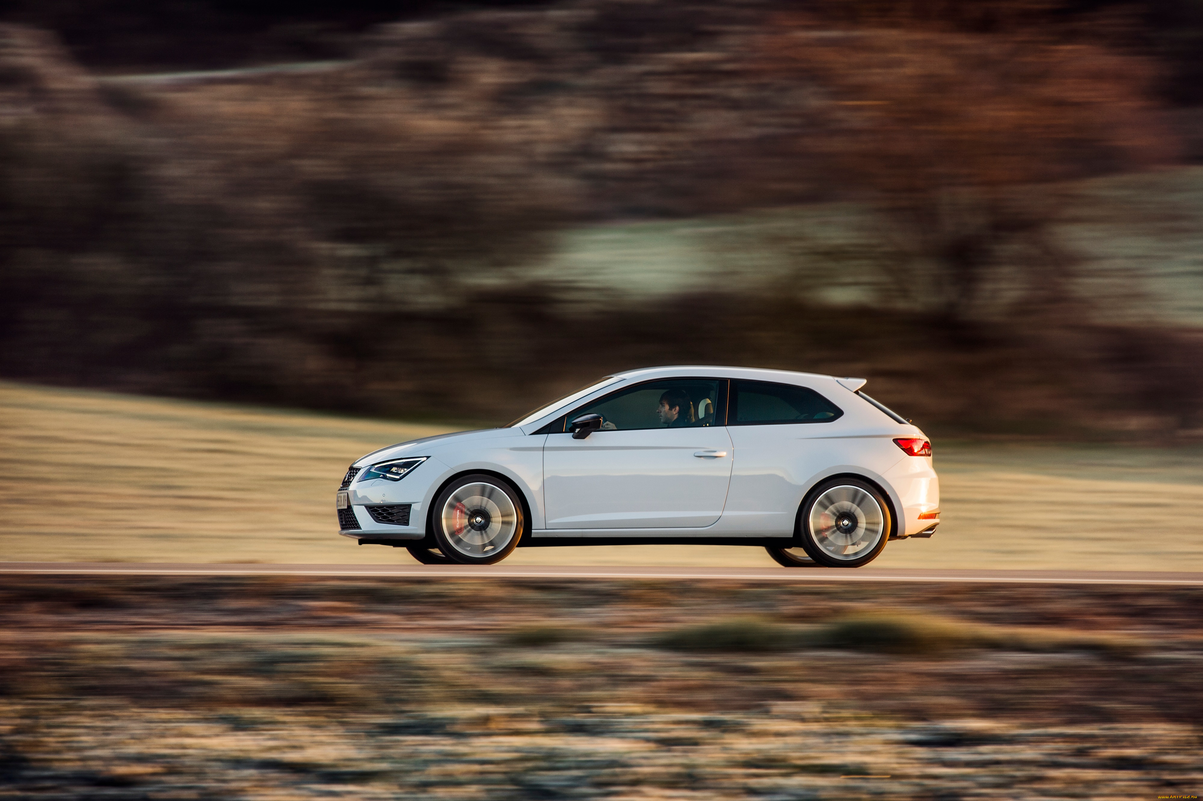 , seat, 290, 5f, 2015, cupra, len, sc